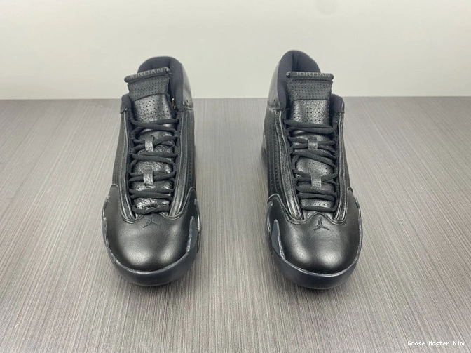 487471-022 'Defining Moments' Air 14 Jordan Retro 0629